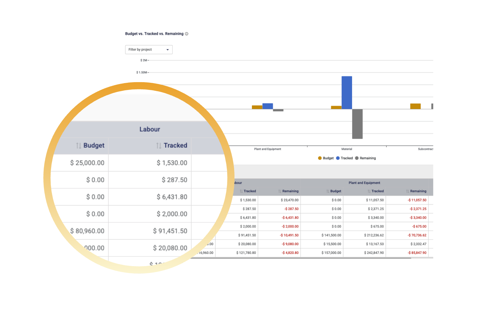 cost and budget tracking software